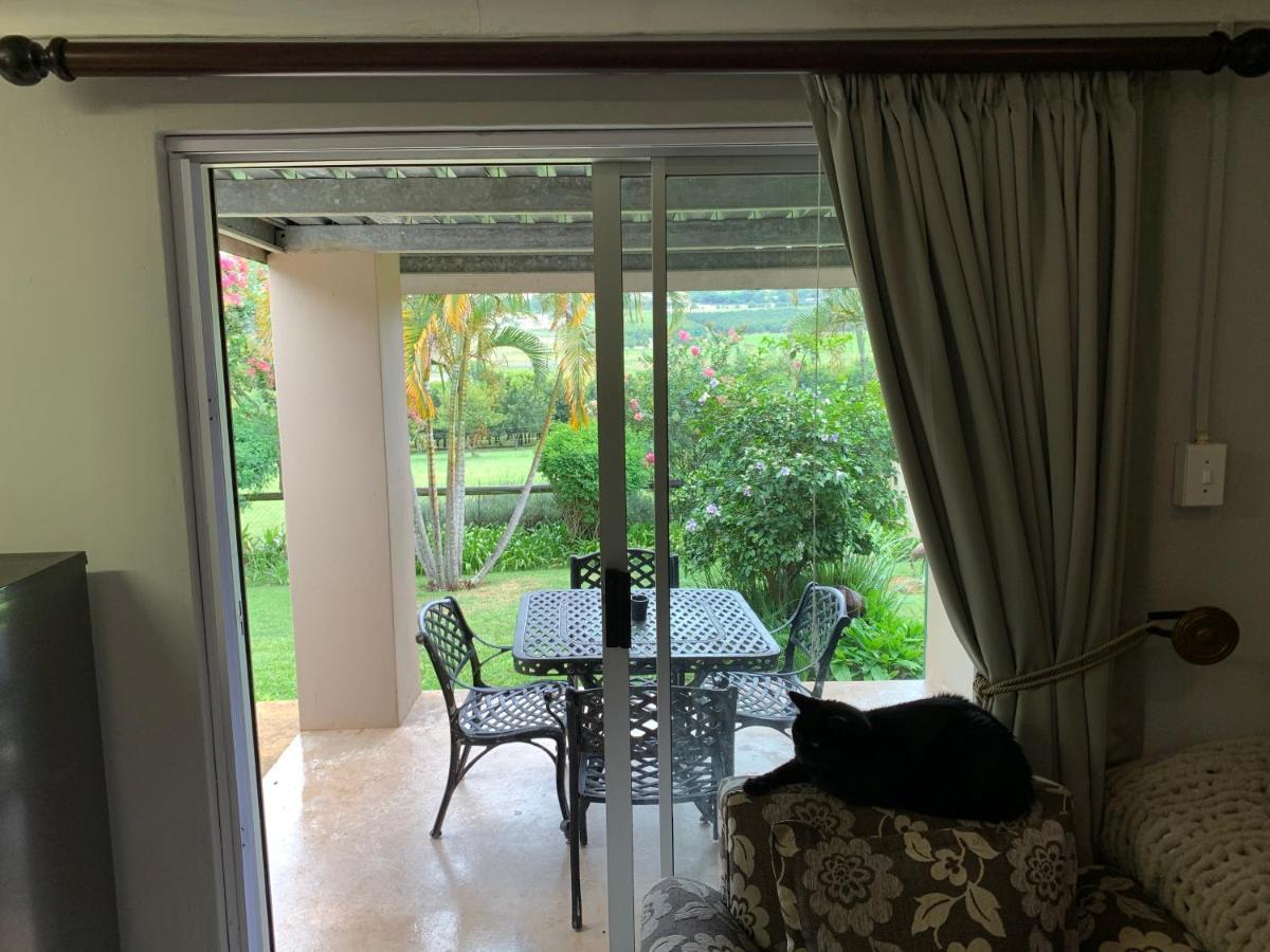 Jelani Guest House White River Ngoại thất bức ảnh